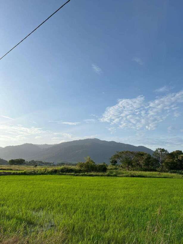 Langkawi: Countryside Bike Tour, Waterfall Swim & Dessert - Key points that make this tour worth your time