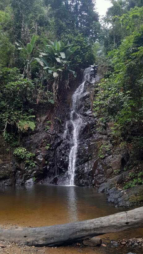 Langkawi: Countryside Bike Tour, Waterfall Swim & Dessert - Getting started at JungleWalla: bikes, helmets, and a calm start
