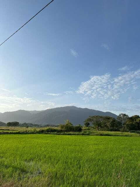 Langkawi: Countryside Bike Tour, Waterfall Swim & Dessert - Local sweets, coffee, and tea: where the trip slows down on purpose