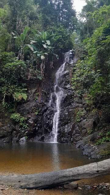 Langkawi: Countryside Bike Tour, Waterfall Swim & Dessert - Who should book this Langkawi bike + waterfall tour
