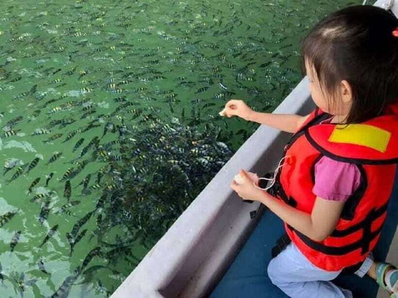 Langkawi: Dangli Island or Pulau Intan Kecil Snorkeling Tour - Mangroves and the guide’s role (more than just a chaperone)