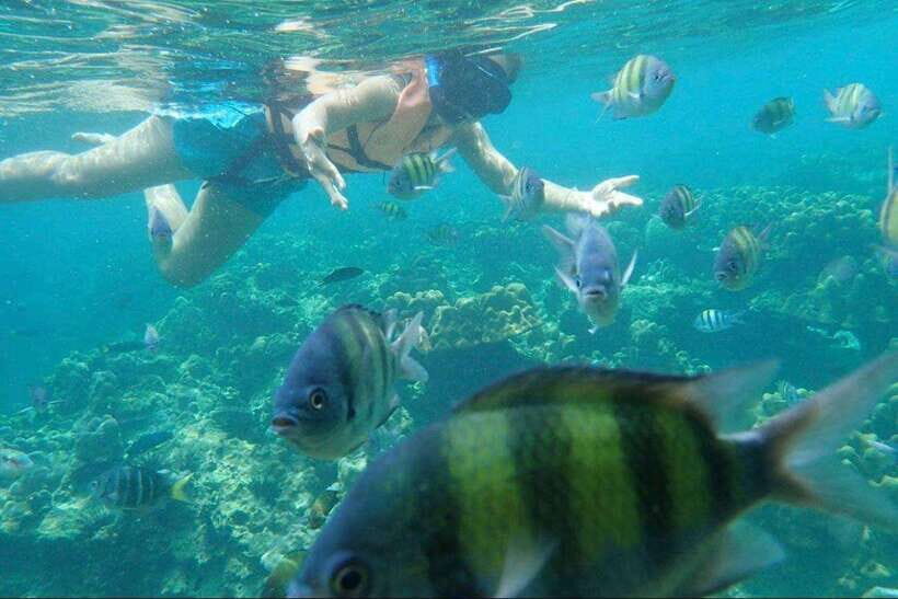Langkawi: Dangli Island Snorkel and Swim Speedboat Tour - The fast speedboat run to Dangli (and why it matters)