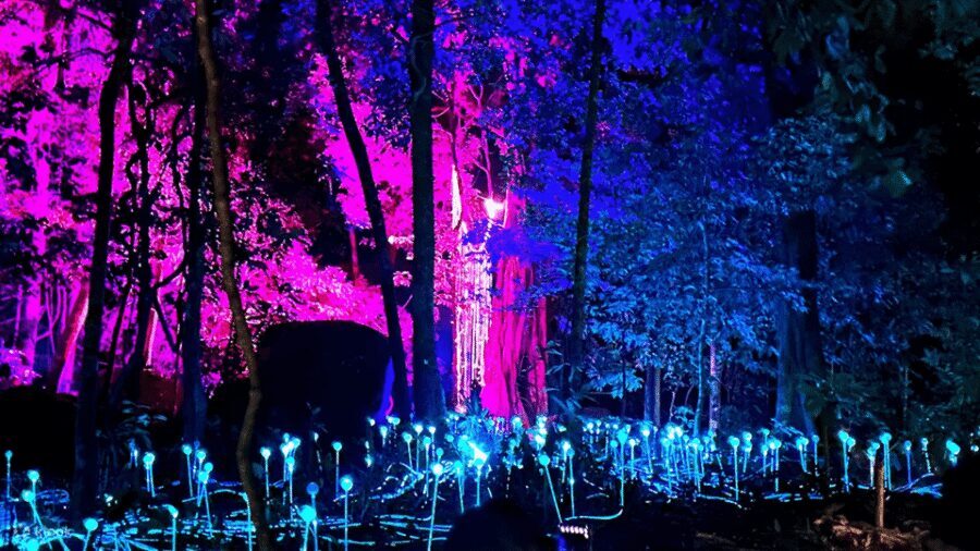 Langkawi: Dream Forest Langkawi Standard Admission Ticket - What the Standard Admission Ticket Includes (and What It Doesn’t)