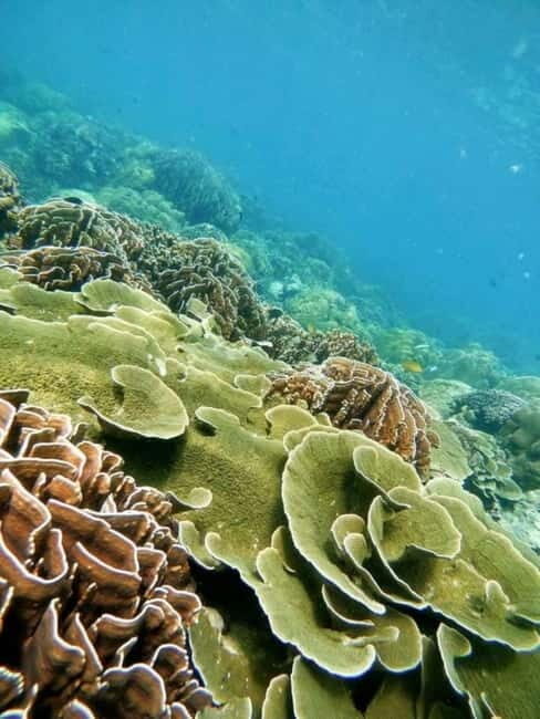 Langkawi: Floating Restaurant & Snorkeling Trip - Kilim Geoforest Park Cruise: Scenery Time on a Roofed Boat
