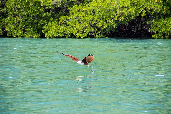 Langkawi Half Day Island Hoping Tour- Sharing basis - Beras Basah Island: the hour that feels like a mini beach vacation