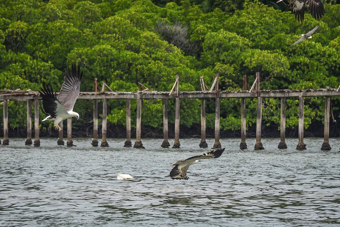 Langkawi Half Day Island Hoping Tour- Sharing basis - Who should book this tour?