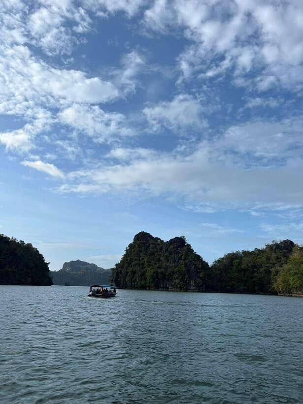 Langkawi: Half-Day Private Kilim River Mangrove Boat Tour - A Roofed Private Boat Through Kilim Geoforest Park