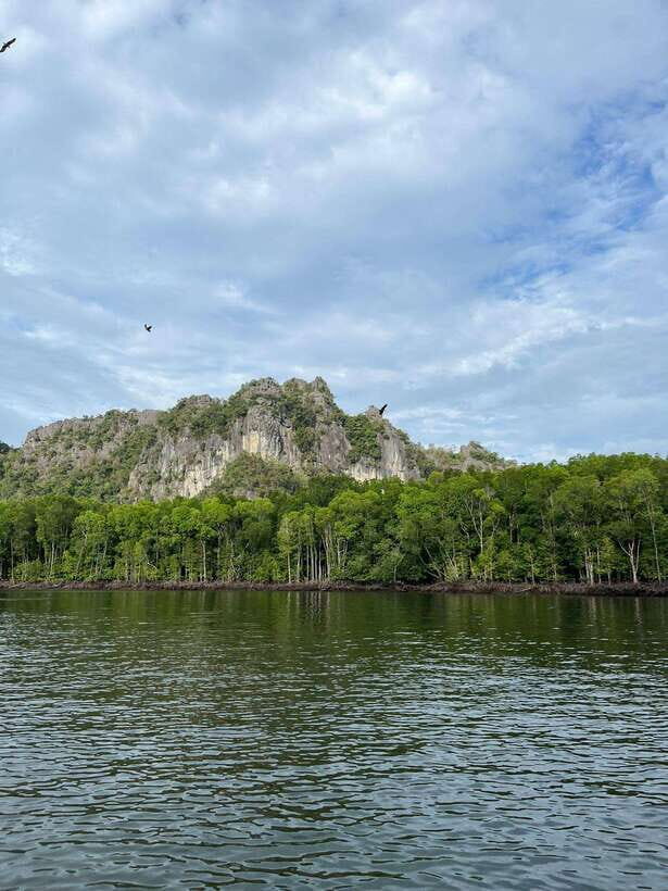 Langkawi: Half-Day Private Kilim River Mangrove Boat Tour - Bat Cave Drop and Cave Country Changes the Rhythm
