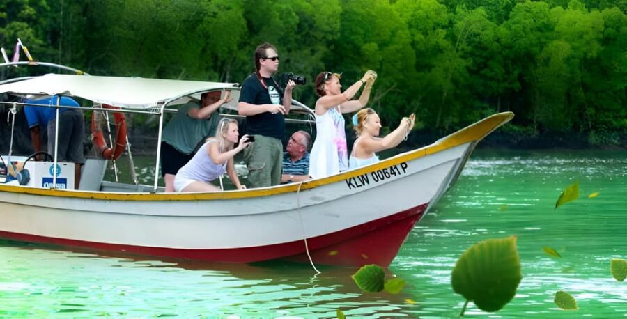Langkawi: Island Hopping Shared or Private Boat Options - Shared vs private boat: what changes beyond the price