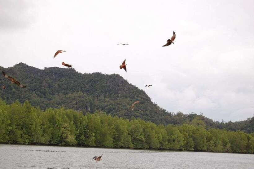 Langkawi: Island Hopping Tour - Who this tour is best for (and who should skip it)