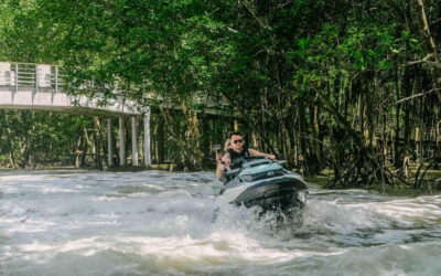 Langkawi: Jet Ski Tour UNESCO Kilim Geopark Free Video - Mangrove River Cruise in the Kilim Geoforest: slow water, sharp eyes