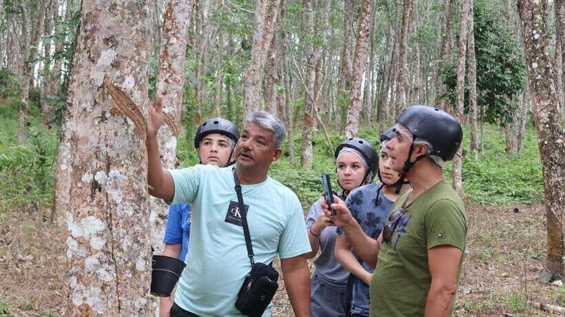 Langkawi Jungle and Waterfall Adventure - Jungle Trails and Steep Bits: The Part That Actually Feels Like Adventure