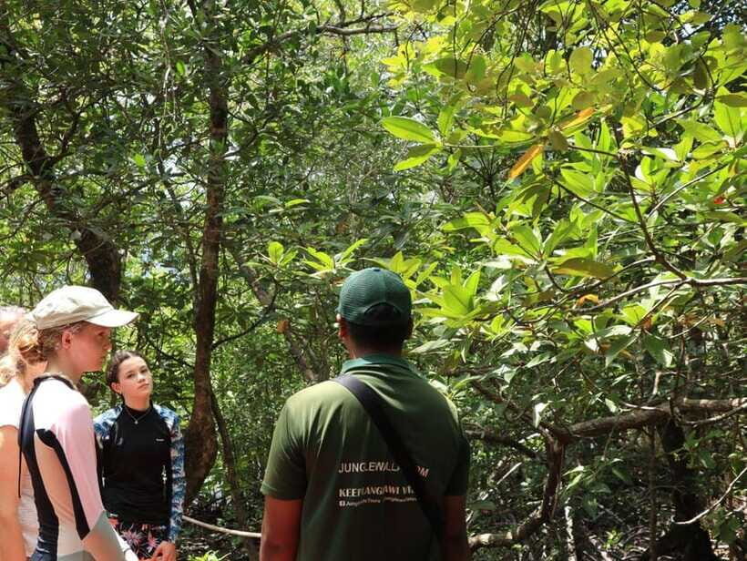 Langkawi: Kayaking Adventure and Swimming - Pinang Cave and an old charcoal kiln: history breaks the nature rhythm