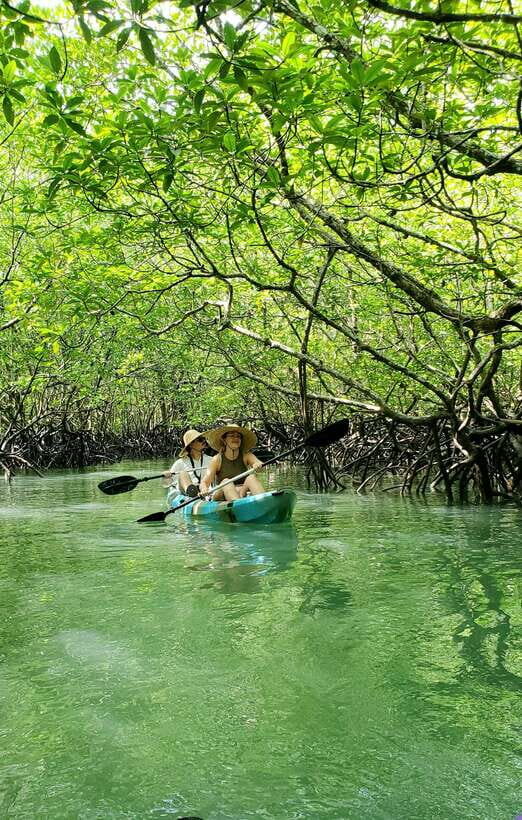 Langkawi : Kilim Geoforest Mangrove Kayak Tour with Lunch - Lunch at the floating restaurant: the meal you’ll actually remember
