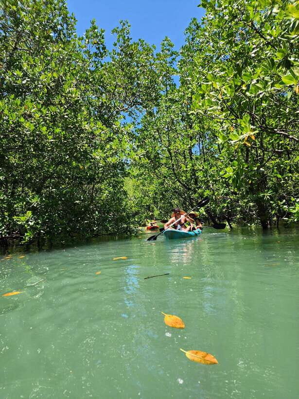 Langkawi : Kilim Geoforest Mangrove Kayak Tour with Lunch - Who this tour suits best (and who might feel it late in the day)