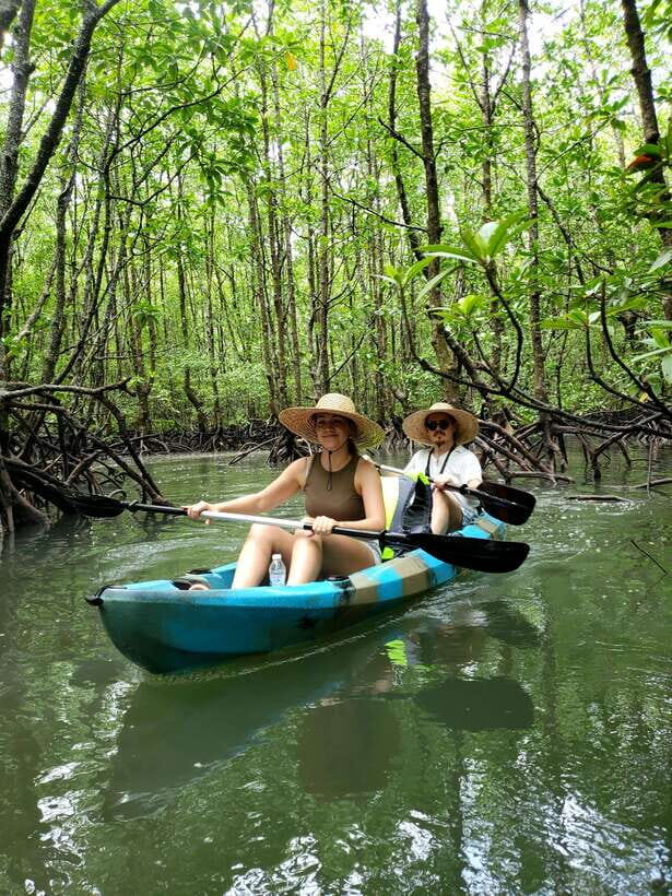 Langkawi : Kilim Geoforest Mangrove Kayak Tour with Lunch - Price and value at $59: what you actually get for the money