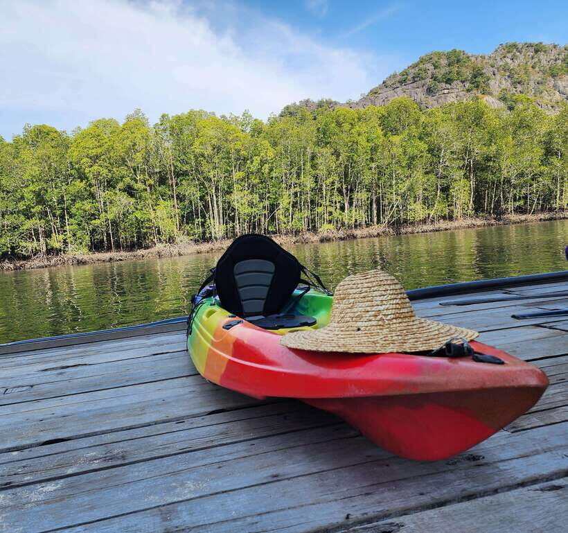 Langkawi : Kilim Geoforest Mangrove Kayak Tour with Lunch - Practical tips: what to pack and how to avoid a soggy surprise