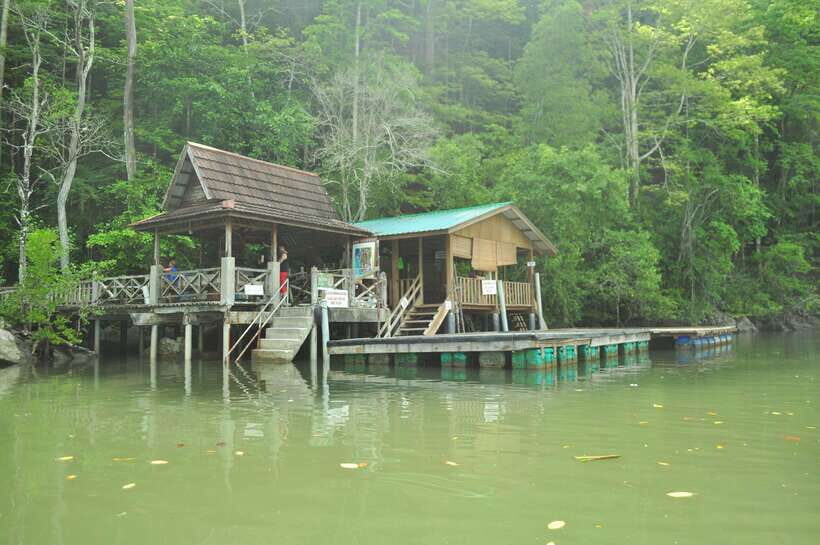 Langkawi: Kilim Mangrove Boat Tour with Lunch and Pickup - Lunch at a floating restaurant: included fuel after the eco lessons