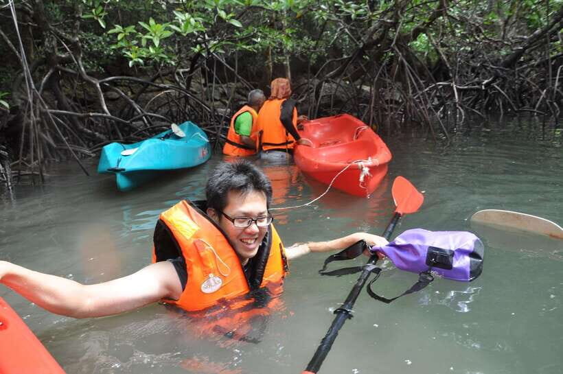 Langkawi: Kilim River Mangrove Safari Kayaking Tour - Mangrove spotting: the specific wildlife and plants to watch for