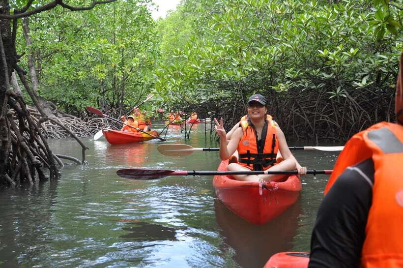 Langkawi: Kilim River Mangrove Safari Kayaking Tour - Transfers and timing: planning your afternoon like a local