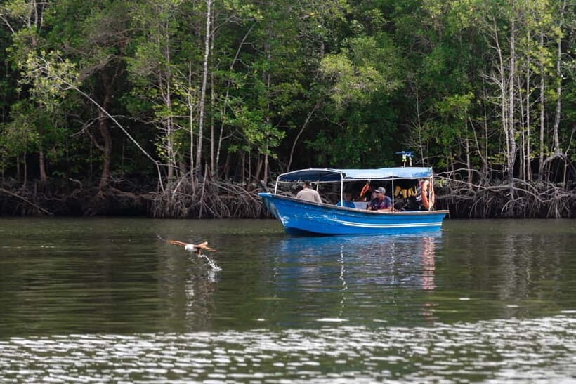 Langkawi Mangrove Group Boat Tour - Limestone formations, the Kilim view, and Gorilla Mountain