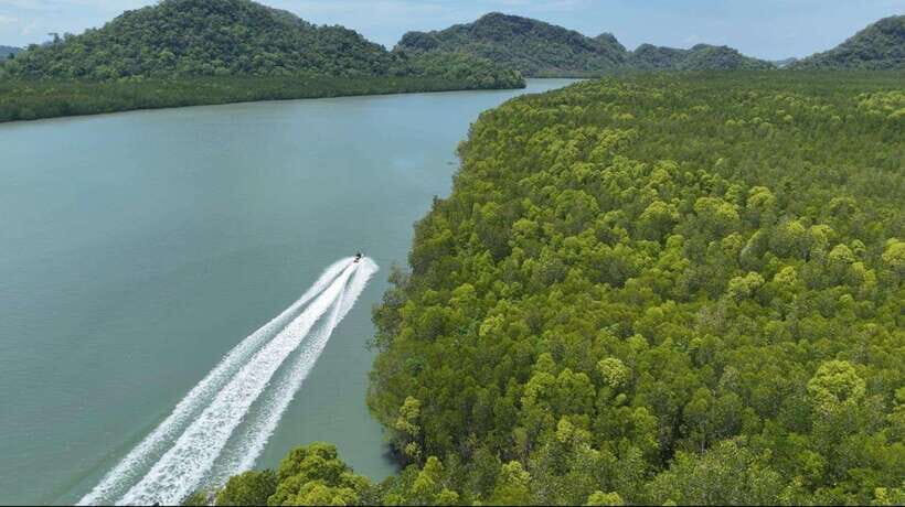Langkawi: Mangrove Jet Ski Tour with Drone Video - Mangroves and Geoparks: Why This Tour’s Nature Stops Matter
