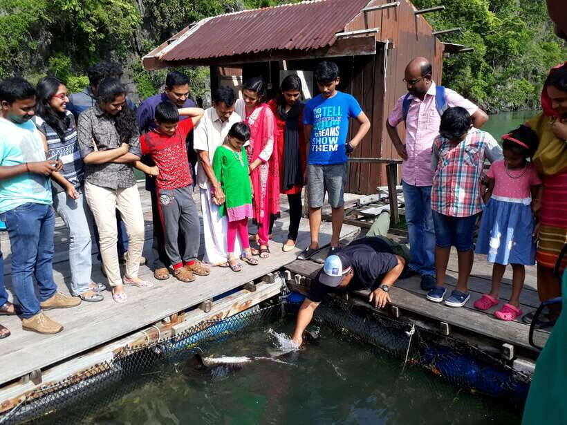 Langkawi: Mangrove Kilim UNESCO Geopark & Cave Tour - Floating Fish Farms and Ray Feeding in a Secluded Cove