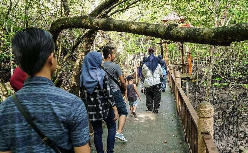 Langkawi: Mangrove Kilim UNESCO Geopark & Cave Tour - Who This Tour Suits Best (and Who Should Skip It)