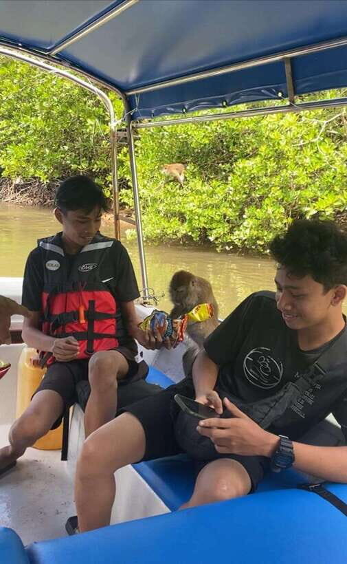 Langkawi Mangrove Monkey Package - Price and value: what $37 covers and what it doesn’t