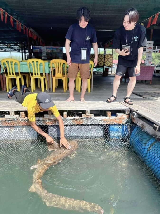 Langkawi Mangrove : Sharing Boat 3Hour estimated (lunch) - What Wildlife Spotting Feels Like in Real Life