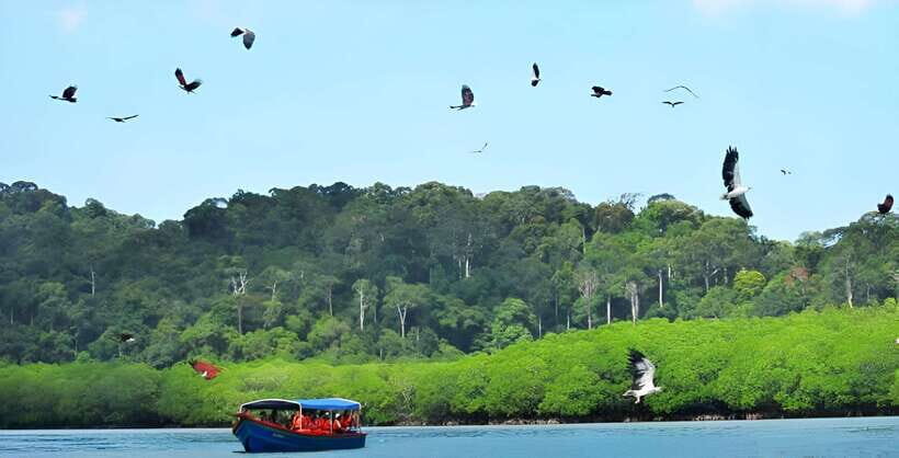 Langkawi: Mangrove Tour with Kilim Geoforest Park & Bat Cave - Entering the route: Bat Cave first, then mangroves