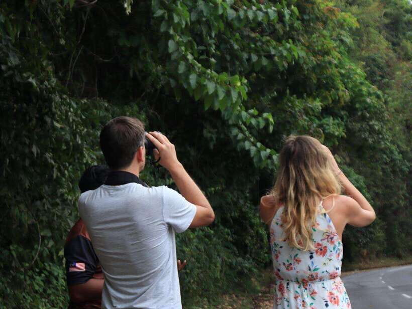 Langkawi: Nighttime Rainforest Tour with Nature Guide - The Summit Up-Top Window: How the 1.5-Hour Stop Really Feels
