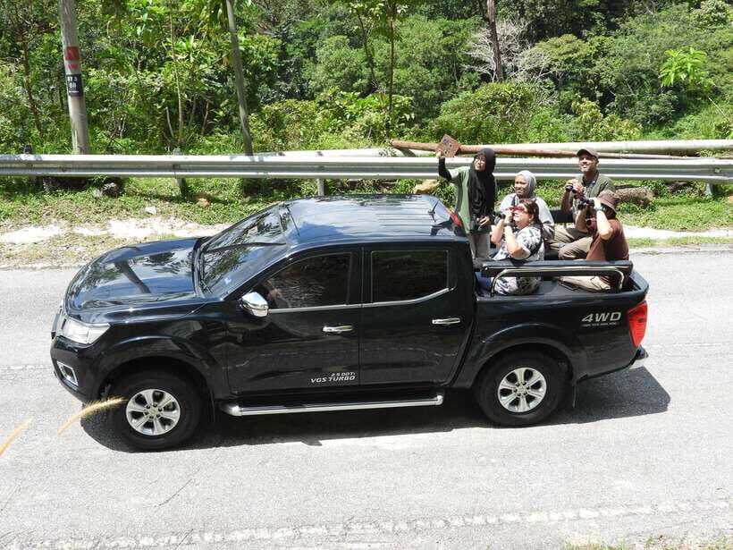 Langkawi: Nighttime Rainforest Tour with Nature Guide - Down to Lubuk Semilang After Dark: The Nocturnal Part That Changes Your Expectations