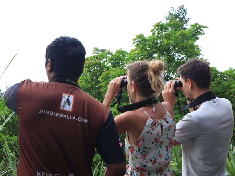 Langkawi: Nighttime Rainforest Tour with Nature Guide - What to Bring (and What the Tour Already Covers)