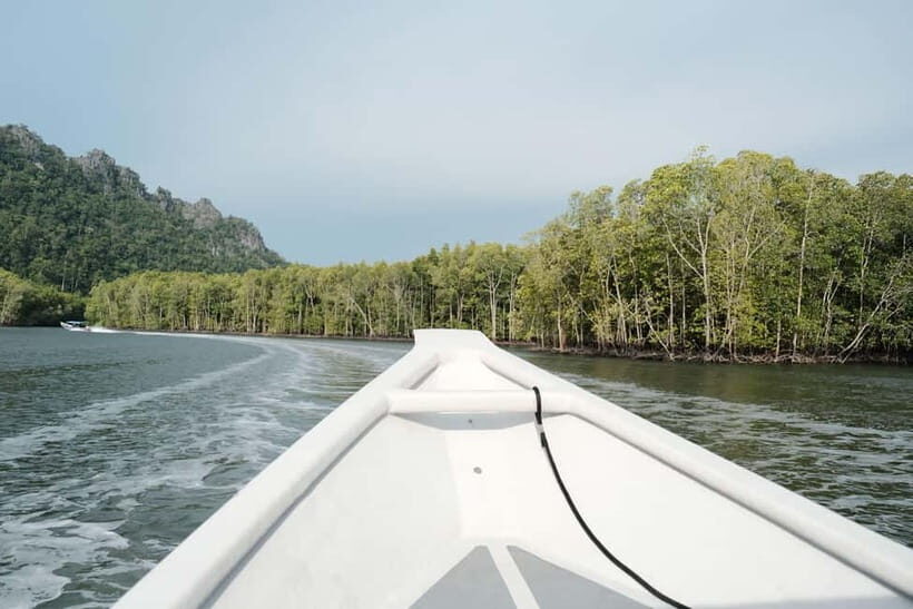 Langkawi: Private 2-Hour Mangrove Tour with Hotel Transfer - Key Things to Know Before You Go
