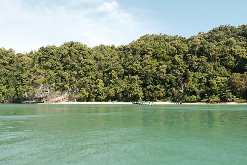 Langkawi: Private 2-Hour Mangrove Tour with Hotel Transfer - Eagle Moments and the Cruise Pace: What to Watch For