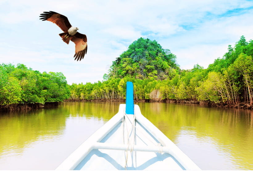 Langkawi: Private Car and Mpv Island Tour - Driver help vs a true tour guide: what you’re signing up for