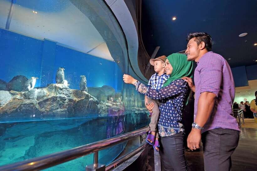 Langkawi: Private Tour with Sky Bridge and Cable Car - Should You Book This Langkawi Private Tour?