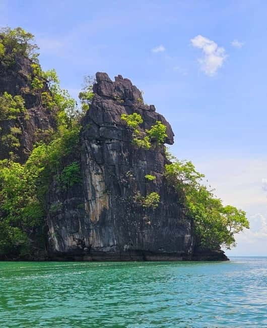 Langkawi: River Cruise and Sunset Cruise Lunch Available - Eagle feeding in Langkawi: the photography moment