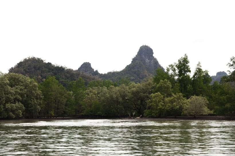 Langkawi Royal Mangrove Tour with Snorkeling Package - Cruising through Kilim Geopark: what to watch for on the water