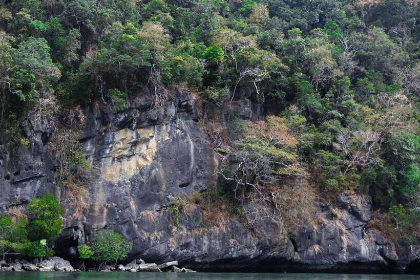Langkawi Royal Mangrove Tour with Snorkeling Package - Floating Restaurant and Gorilla Mountain: scenic views without the pressure