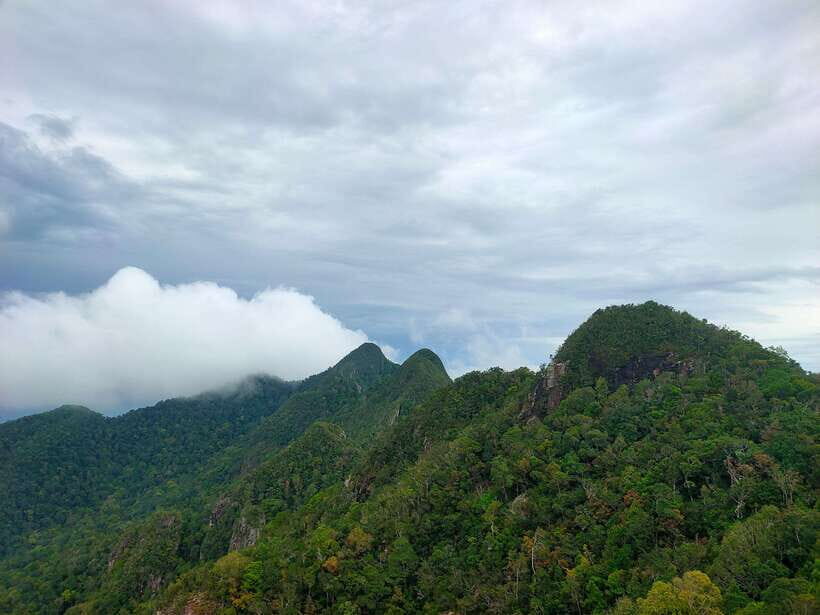 Langkawi SkyTrail Hiking and Cable Car Experience - Key highlights you’ll feel on the day