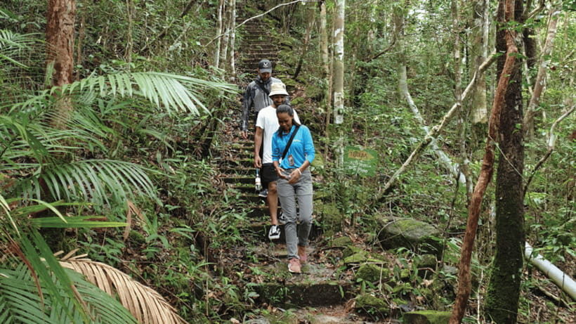 Langkawi SkyTrail Hiking and Cable Car Experience - Price and value: what $65 buys you (and what costs extra)