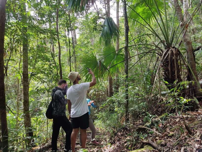 Langkawi SkyTrail Hiking and Cable Car Experience - Who should book Langkawi SkyTrail (and who should skip it)