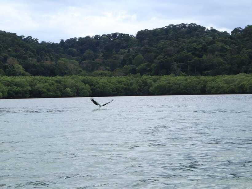 Langkawi: Southern Island Geopark Tour - Beras Basah Island (and Teluk Cawi by Tide): Beach Time That’s Short but Satisfying