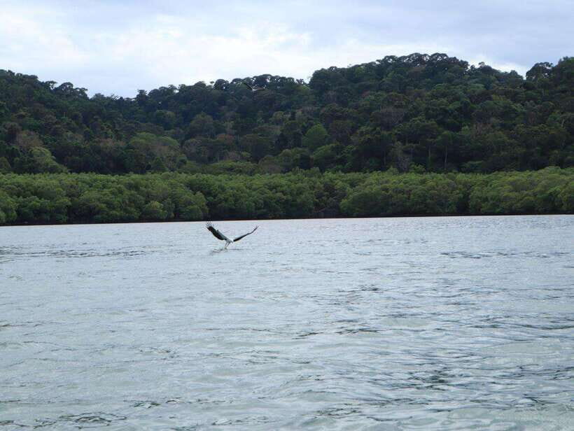 Langkawi: Southern Island Geopark Tour - Wildlife Spotting Without the Usual Distractions