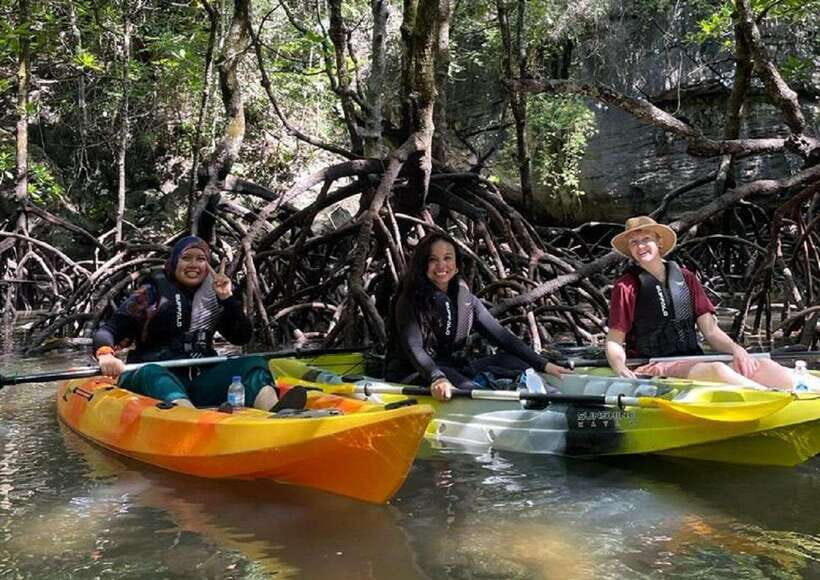 Langkawi: Sunset Kayaking Tour - Mangrove Channels and Tide Changes: Why Your Route Might Vary