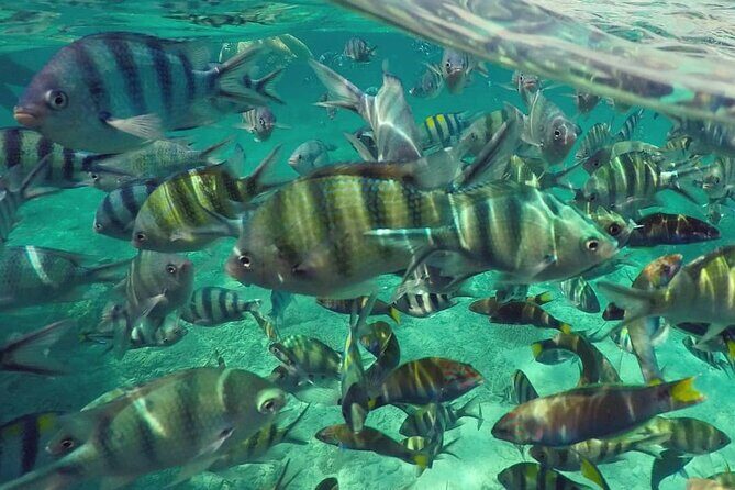 Langkawi Tour A - Land Tour & Pulau Dangli Snorkeling - Sandy Skulls Beach: The Forest Road Detail That Makes It Feel Different