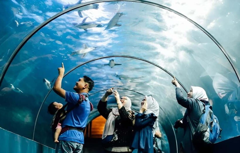 Langkawi: Underwater World Langkawi Entry Ticket - Key things to know before you go