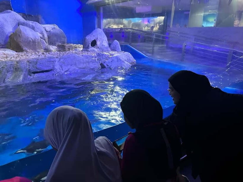 Langkawi: Underwater World Langkawi Entry Ticket - What it feels like during a typical visit